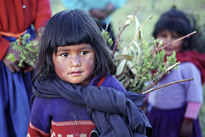 Girl Collecting Wood on Taquile Island, Peru