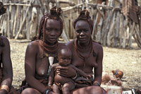 Himba Tribe in Opuwa, Namibia