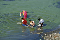 Women Washing Clothes in Udaipur, India