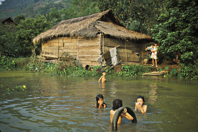 Chidren Swimming in Rice Paddy in Lai Chau, Vietnam