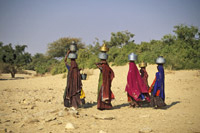 Women Collecting Water in Thar Desert, India